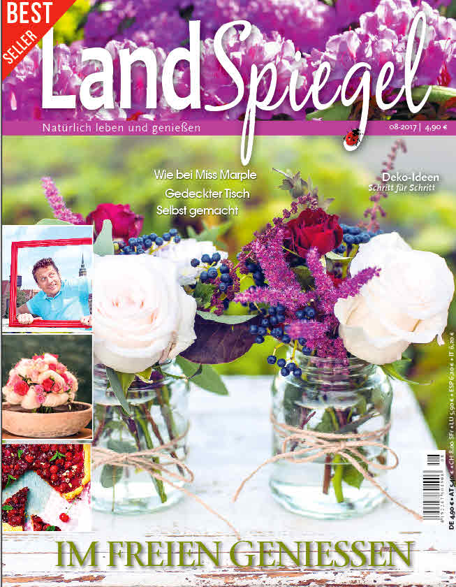LandSpiegel 08 2017