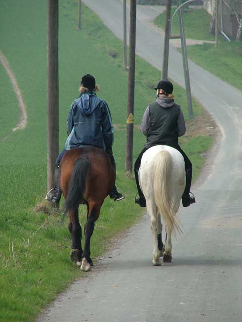 Bild3_050_001_4c__47319vorschau
